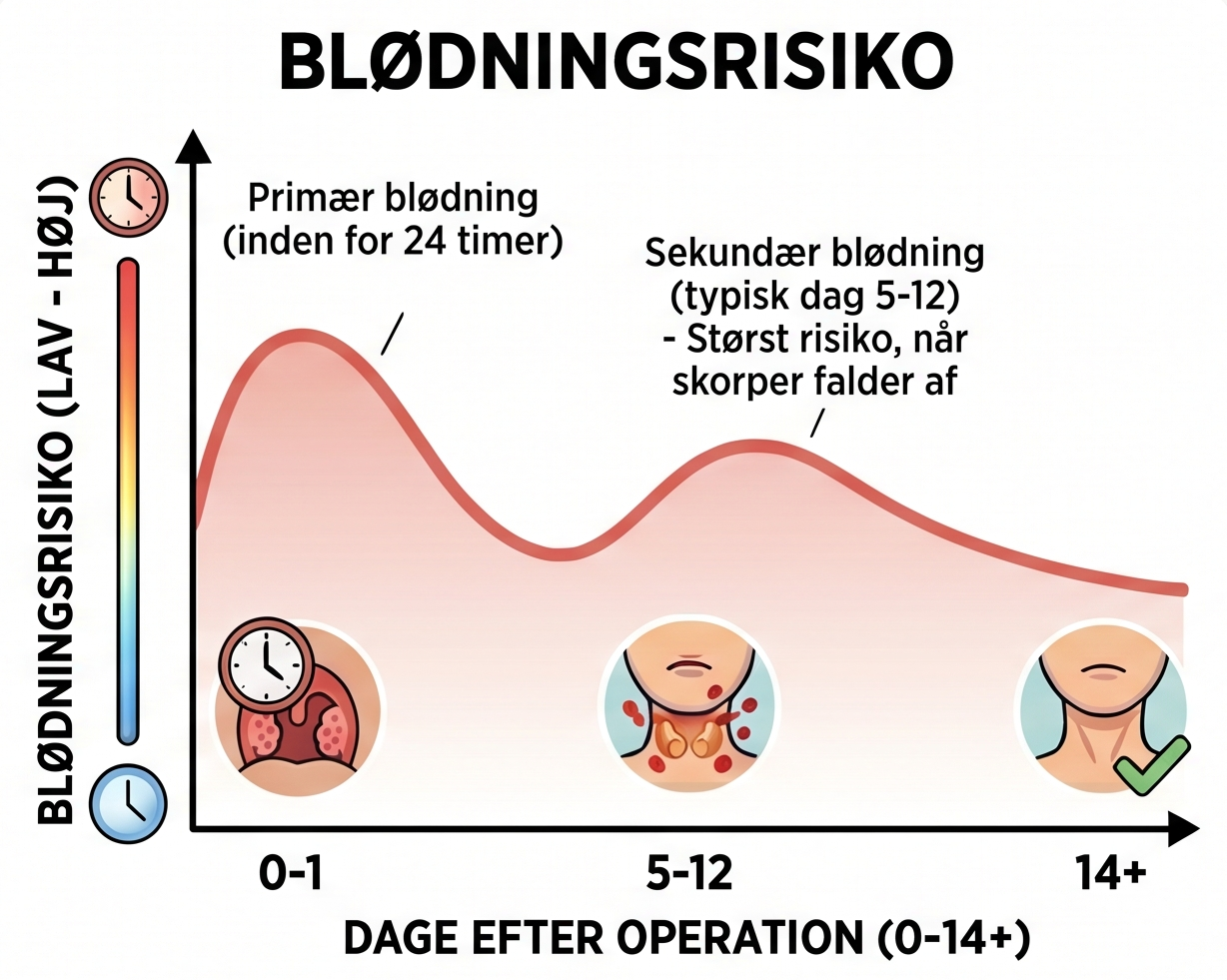 Risikoen for at det bl&oslash;der fra operationss&aring;ret er lettere forh&oslash;jet det f&oslash;rste d&oslash;gn efter operationen og derefter ca. en uge efter operationen, hvor skorperne l&oslash;sner sig