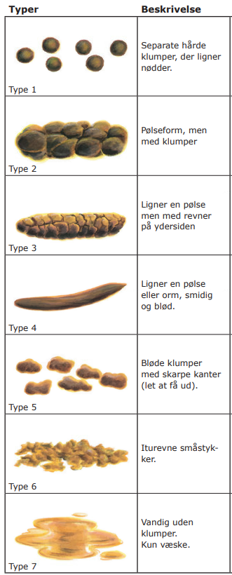 Bristol-stool-skalaen fra type 1 den meget hårde afføring i mindre klumper til type7 - den helt vandige diarré