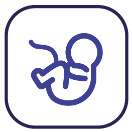 Ikon for Min Graviditet-appen: baby med navlestreng