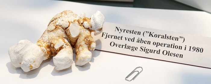 Musset 184-15 _3368 - Beskåret2.jpg